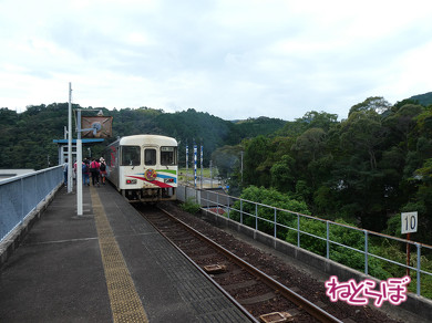 DMV 近未来の公共交通機関 "Dual Mode Vehicle"