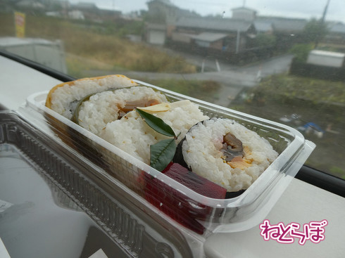 DMV 近未来の公共交通機関 "Dual Mode Vehicle" 阿佐海岸鉄道