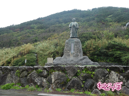 DMV 近未来の公共交通機関 "Dual Mode Vehicle" 阿佐海岸鉄道