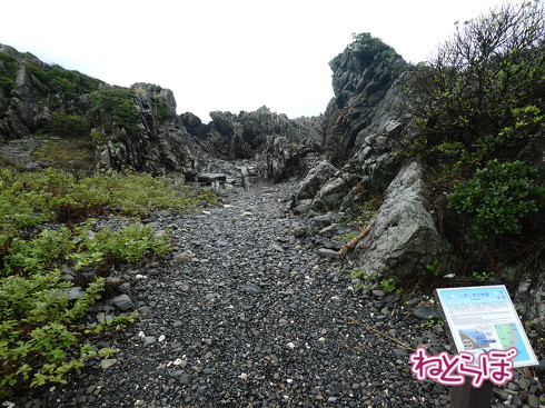 DMV 近未来の公共交通機関 "Dual Mode Vehicle" 阿佐海岸鉄道