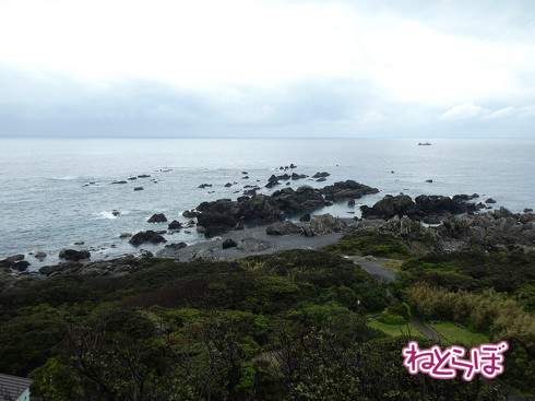 DMV 近未来の公共交通機関 "Dual Mode Vehicle" 阿佐海岸鉄道