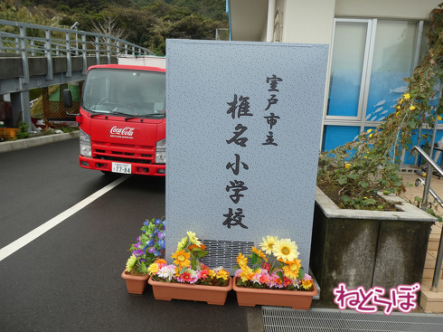 DMV 近未来の公共交通機関 "Dual Mode Vehicle" 阿佐海岸鉄道