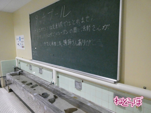 DMV 近未来の公共交通機関 "Dual Mode Vehicle" 阿佐海岸鉄道