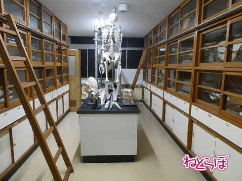 DMV 近未来の公共交通機関 "Dual Mode Vehicle" 阿佐海岸鉄道