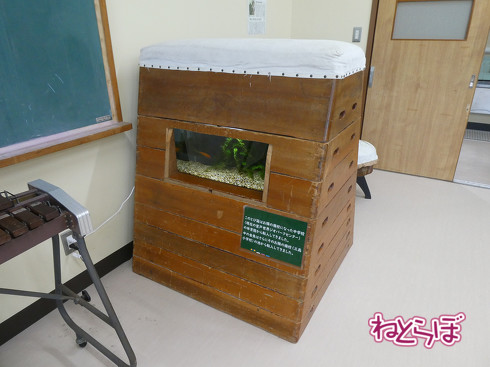 DMV 近未来の公共交通機関 "Dual Mode Vehicle" 阿佐海岸鉄道