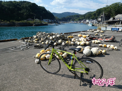 DMV 近未来の公共交通機関 "Dual Mode Vehicle" 阿佐海岸鉄道