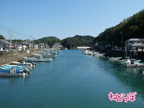 DMV 近未来の公共交通機関 "Dual Mode Vehicle" 阿佐海岸鉄道