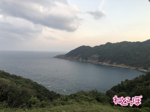 DMV 近未来の公共交通機関 "Dual Mode Vehicle" 阿佐海岸鉄道