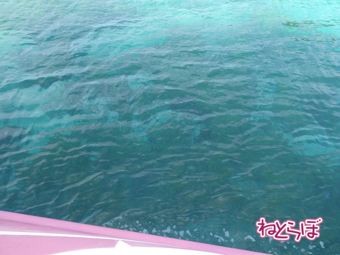 DMV 近未来の公共交通機関 "Dual Mode Vehicle" 阿佐海岸鉄道