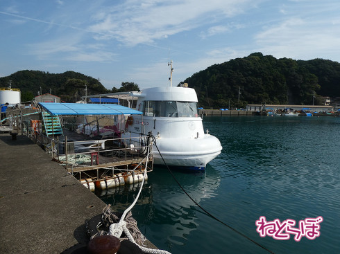 DMV 近未来の公共交通機関 "Dual Mode Vehicle" 阿佐海岸鉄道