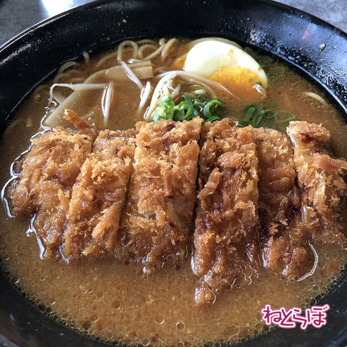 DMV 近未来の公共交通機関 "Dual Mode Vehicle" 阿佐海岸鉄道