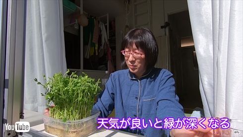 阿佐ヶ谷姉妹 モーニングルーティン 動画 YouTube 渡辺江里子 木村美穂