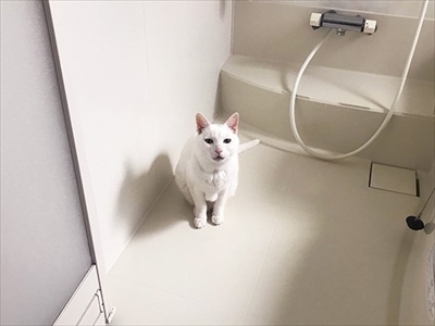 妖怪「ふろみたがり」