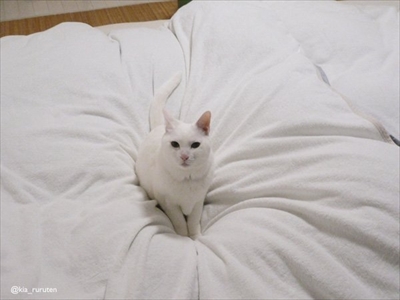 妖怪「ふろみたがり」