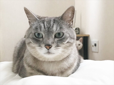 妖怪「ふろみたがり」