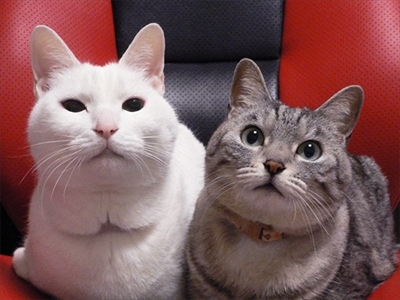 妖怪「ふろみたがり」