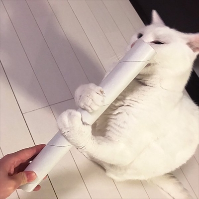 妖怪「ふろみたがり」