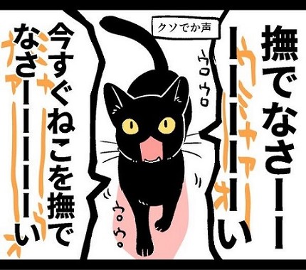 猫はわがまま
