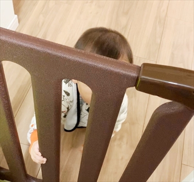 猫のすずめちゃん