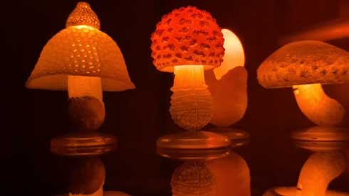 LEDきのこライトコレクション 光る キノコ カプセルトイ いきもん
