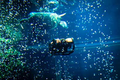 Virtual Ocean Project 横浜・八景島シーパラダイス 水中ドローン VR 潜水