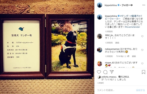 椎名桔平 テンダー 盲導犬 パピーウォーカー PW