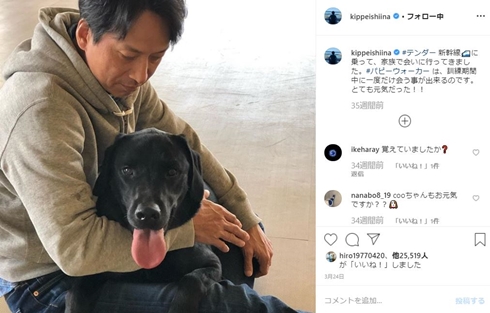 椎名桔平 テンダー 盲導犬 パピーウォーカー PW