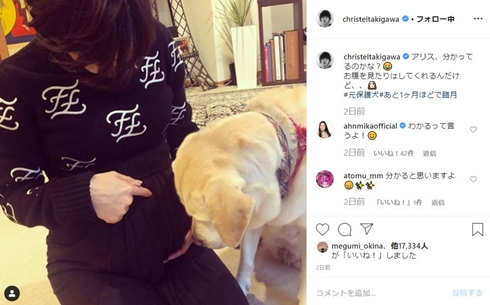 滝川クリステル 妊娠 出産 小泉進次郎 臨月 産休