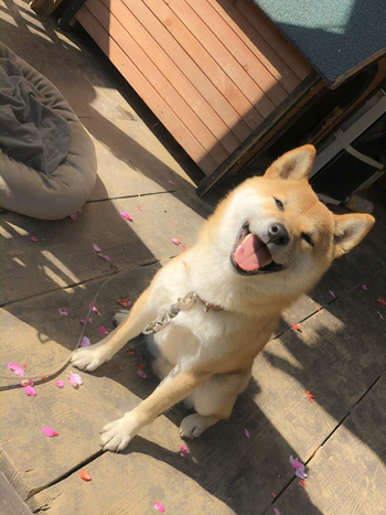 そらさんスマイル1