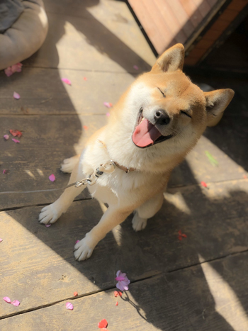 そらさんスマイル3