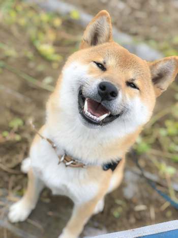 笑顔のそらくんアップ1