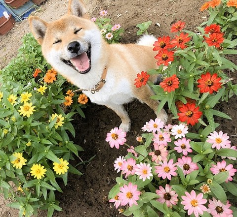 小型台風そらくん