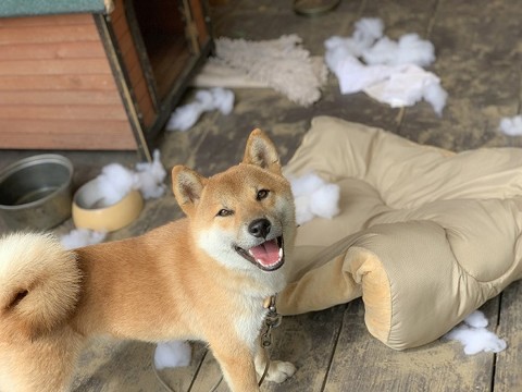 小型台風そらくん