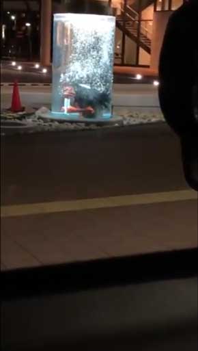 兵庫県 福崎町 夜 駅 不穏 河童 カッパ 出てくる 怖い 水中 ガジロウ