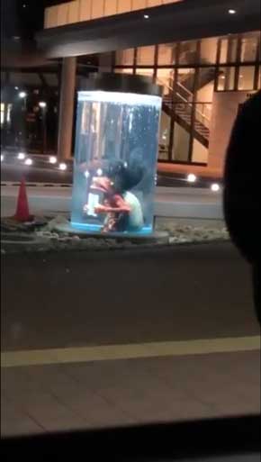 兵庫県 福崎町 夜 駅 不穏 河童 カッパ 出てくる 怖い 水中 ガジロウ