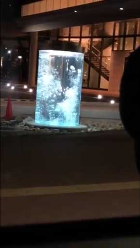 兵庫県 福崎町 夜 駅 不穏 河童 カッパ 出てくる 怖い 水中 ガジロウ