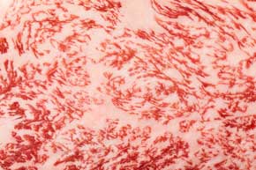 宮崎県 小林市 肉専門 フリー素材サイト oniku images 和牛 無料 ネタ