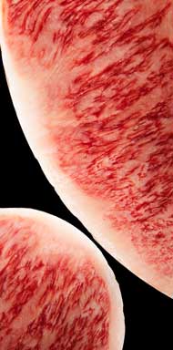 宮崎県 小林市 肉専門 フリー素材サイト oniku images 和牛 無料 ネタ