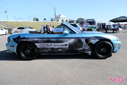 ひめたまユル会 ひめたま祭 コスプレ