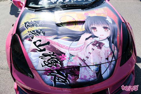 ひめたまユル会 ひめたま祭 コスプレ