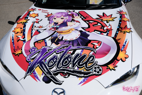 ひめたまユル会 ひめたま祭 コスプレ