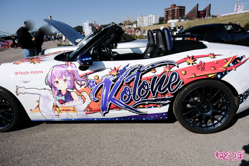 ひめたまユル会 ひめたま祭 コスプレ