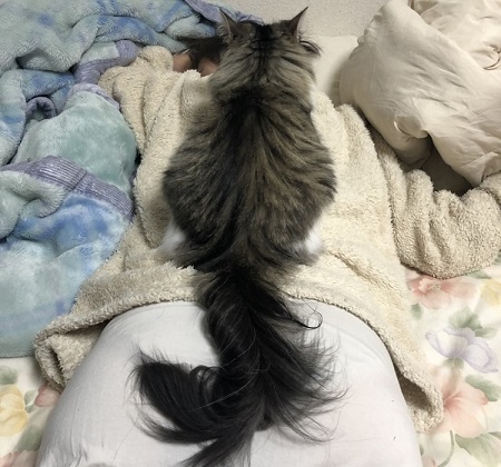 ペット手帳 ベストショット