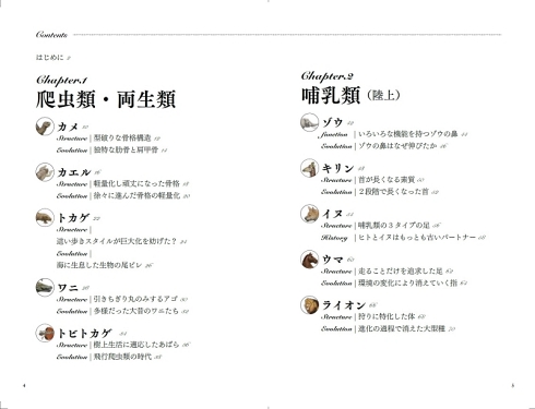 satoshikawasaki 進化論