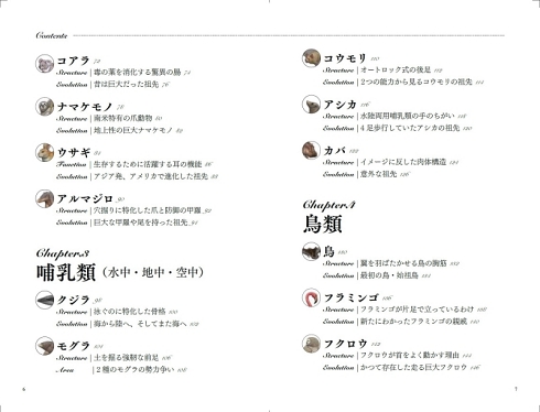 satoshikawasaki 進化論