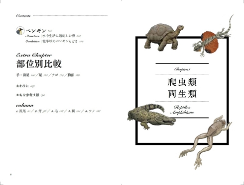 satoshikawasaki 進化論