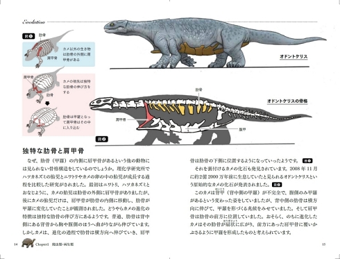 satoshikawasaki 進化論