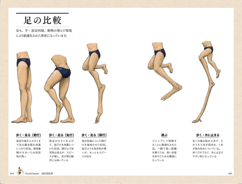 satoshikawasaki 進化論
