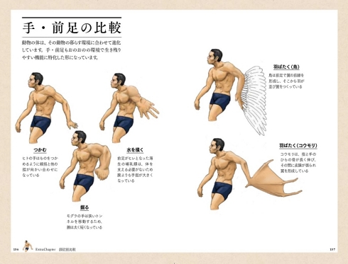 satoshikawasaki 進化論