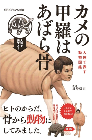 satoshikawasaki 進化論